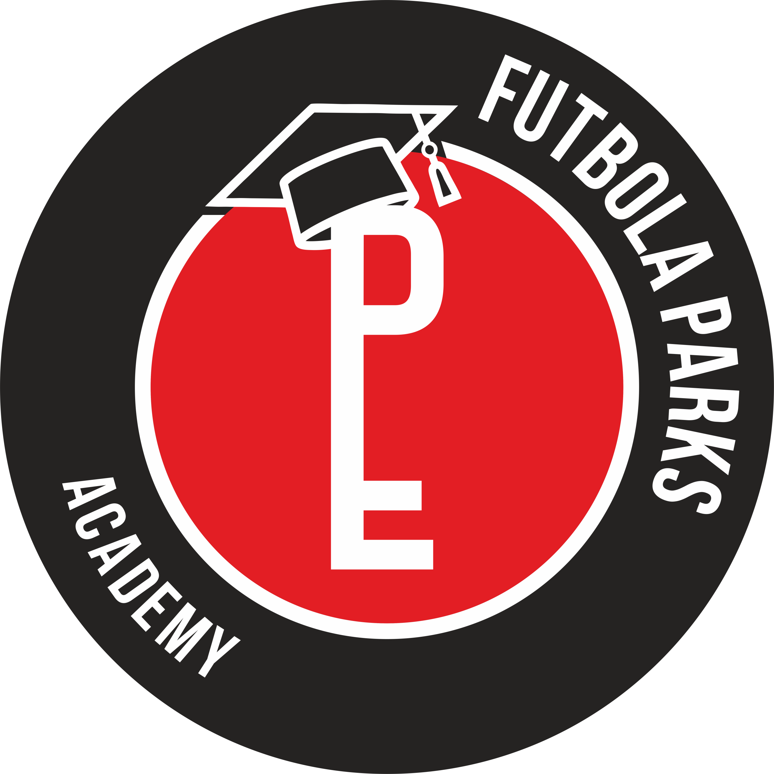 FPA logo bez fona